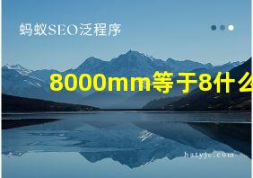 8000mm等于8什么