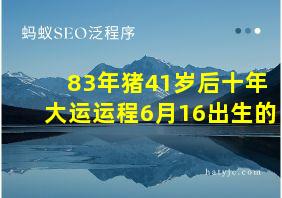 83年猪41岁后十年大运运程6月16出生的