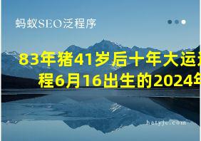 83年猪41岁后十年大运运程6月16出生的2024年