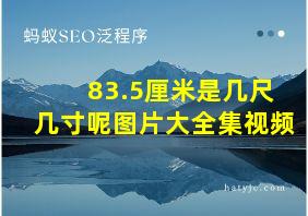 83.5厘米是几尺几寸呢图片大全集视频