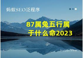 87属兔五行属于什么命2023