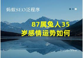 87属兔人35岁感情运势如何