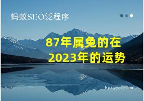 87年属兔的在2023年的运势