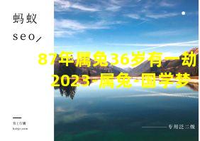 87年属兔36岁有一劫2023-属兔-国学梦