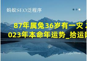 87年属兔36岁有一灾 2023年本命年运势_拾运网