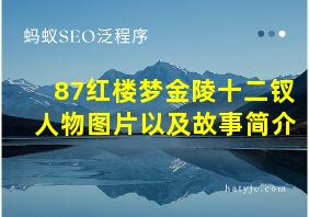 87红楼梦金陵十二钗人物图片以及故事简介