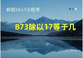 873除以17等于几