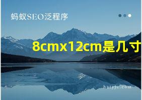 8cmx12cm是几寸