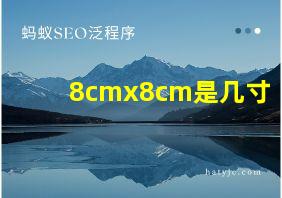 8cmx8cm是几寸