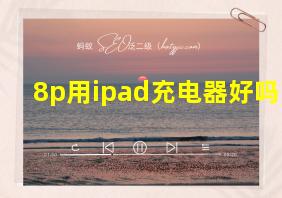 8p用ipad充电器好吗