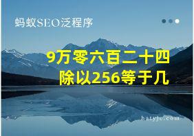 9万零六百二十四除以256等于几