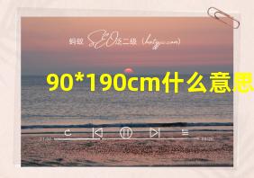 90*190cm什么意思