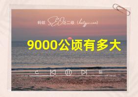 9000公顷有多大