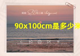 90x100cm是多少米