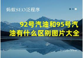 92号汽油和95号汽油有什么区别图片大全