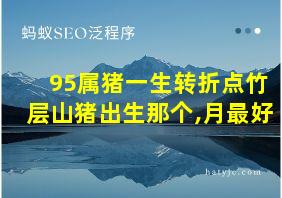 95属猪一生转折点竹层山猪出生那个,月最好