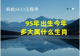 95年出生今年多大属什么生肖