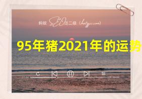 95年猪2021年的运势