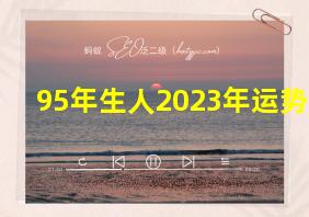 95年生人2023年运势