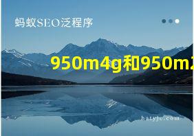 950m4g和950m2g