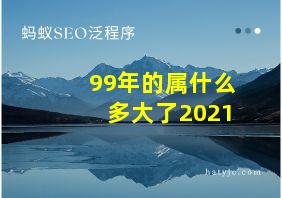 99年的属什么多大了2021