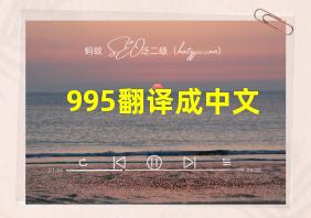 995翻译成中文