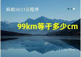 99km等于多少cm