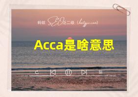 Acca是啥意思