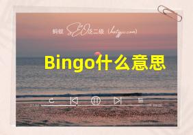 Bingo什么意思