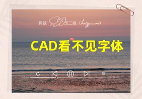 CAD看不见字体