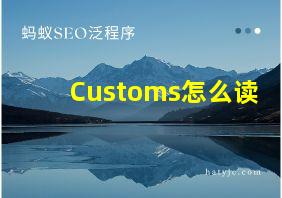 Customs怎么读