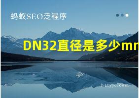 DN32直径是多少mm