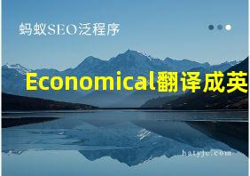 Economical翻译成英语