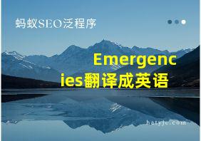 Emergencies翻译成英语