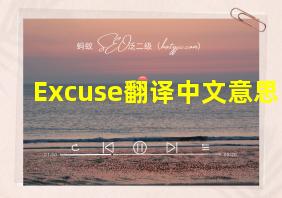 Excuse翻译中文意思