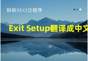 Exit Setup翻译成中文