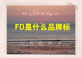 FD是什么品牌标