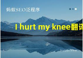 I hurt my knee翻译