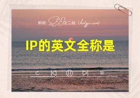 IP的英文全称是