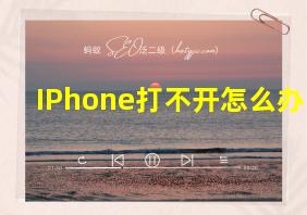 IPhone打不开怎么办