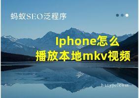 Iphone怎么播放本地mkv视频