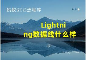 Lightning数据线什么样