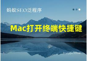 Mac打开终端快捷键