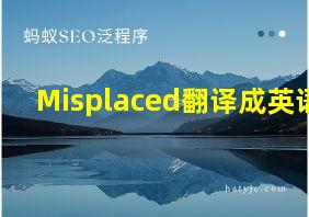 Misplaced翻译成英语