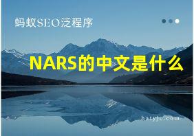 NARS的中文是什么