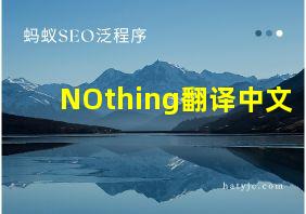 NOthing翻译中文