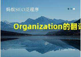 Organization的翻译