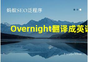 Overnight翻译成英语