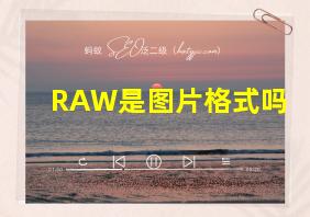 RAW是图片格式吗