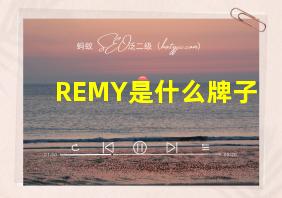 REMY是什么牌子